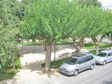 Pogled na park/vrt